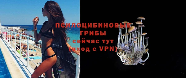 мдма Няндома