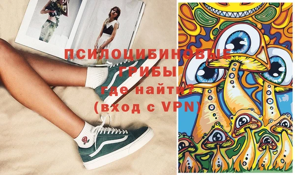 мдма Няндома