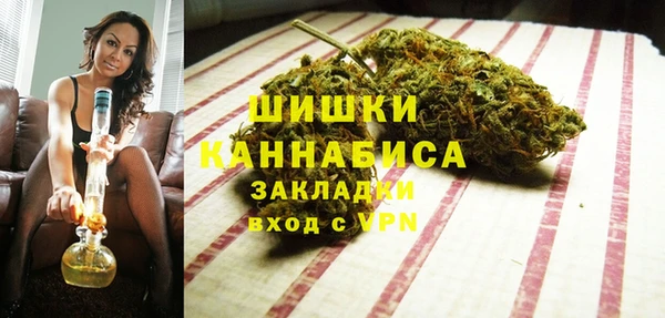 прущие грибы Нязепетровск
