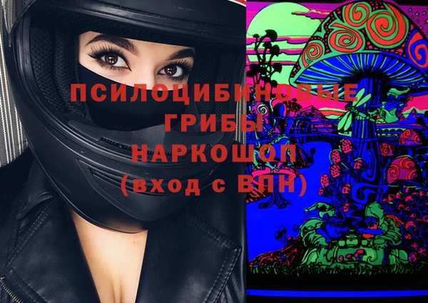 мдма Няндома