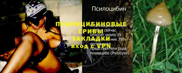 мдма Няндома