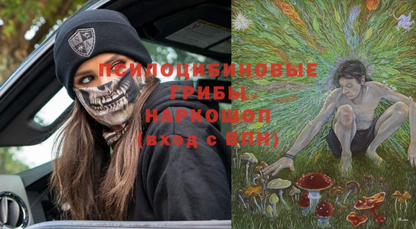 прущие грибы Нязепетровск